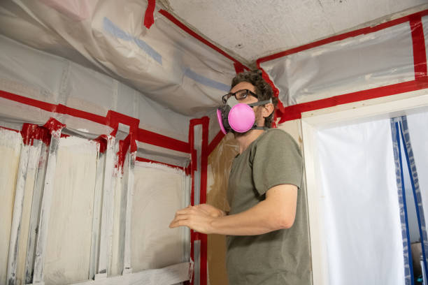 Best Asbestos and Lead Testing During Mold Inspection  in Athens, MI