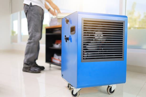 Best Air Quality Testing for Mold Spores  in Athens, MI