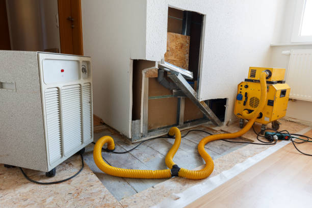  Athens, MI Mold Removal Pros
