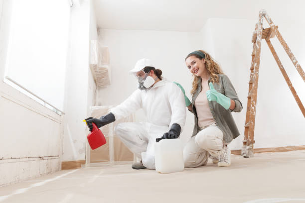 Best Mold Prevention Services  in Athens, MI