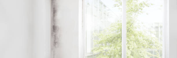 Best Industrial Mold Remediation  in Athens, MI