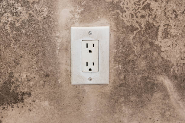 Best Air Quality Testing for Mold Spores  in Athens, MI