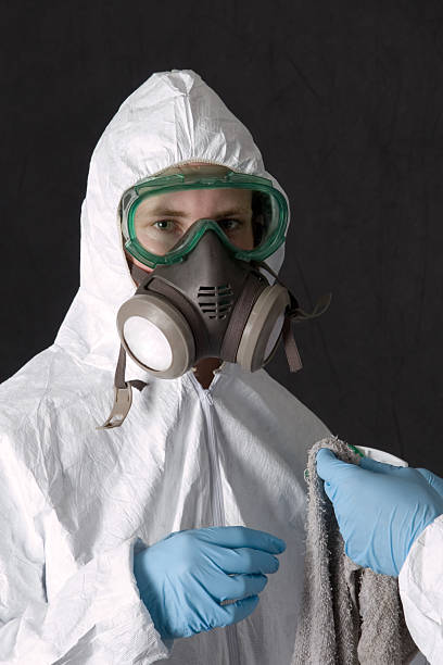 Best Real Estate Mold Inspection  in Athens, MI